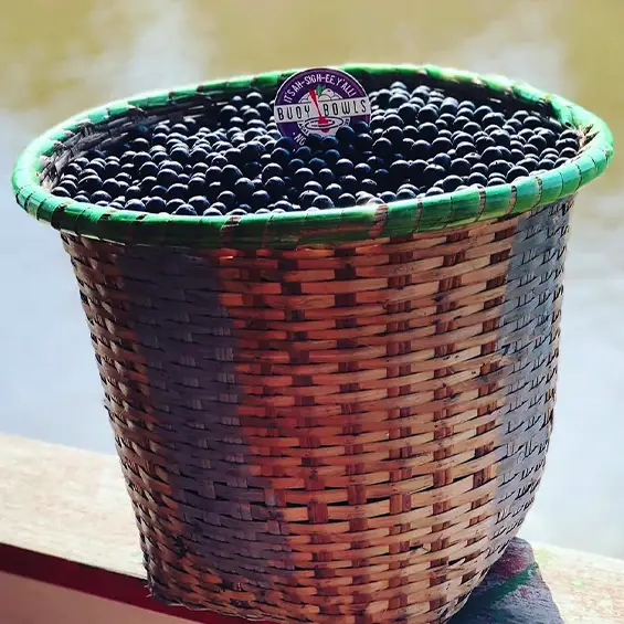Açaí berries freshly picked for your bowls.