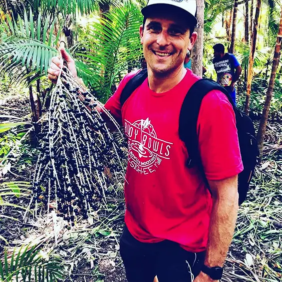 Açaí berries still on their panicles, or branches.