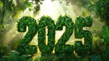 2025 : Buoy Bowls Year In Recap