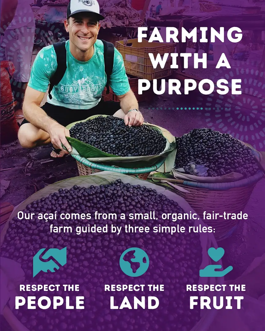 Where Does Our Açaí Come From? : Farming With a Purpose