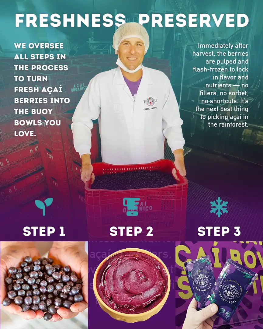 Where Does Our Açaí Come From? : Freshness Preserved