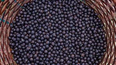 What Makes Açaí Actually Good For You? The Honest Breakdown.
