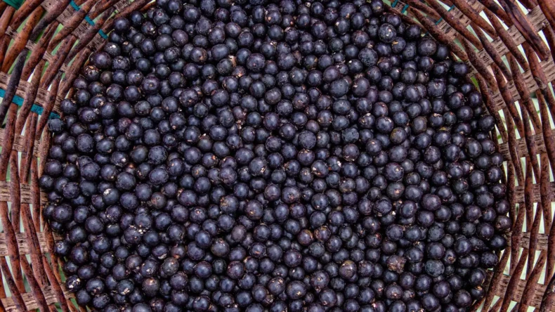 What Makes Açaí Actually Good For You? The Honest Breakdown.