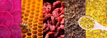 Beyond Açaí: 5 Superfoods Hiding in Your Buoy Bowl